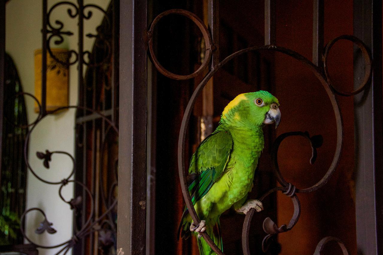 Quinta Mi Tata B&B Sardinal Bagian luar foto
